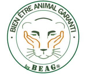 LOGO-BEAG-TAMPON-transparent